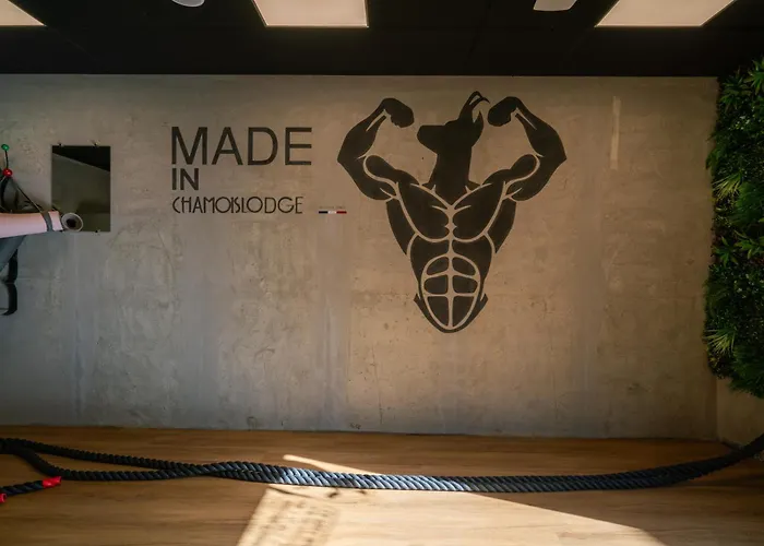 Chamois Les Deux Alpes