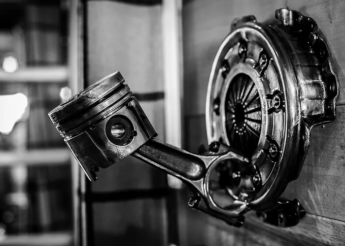 Chamois Les Deux Alpes