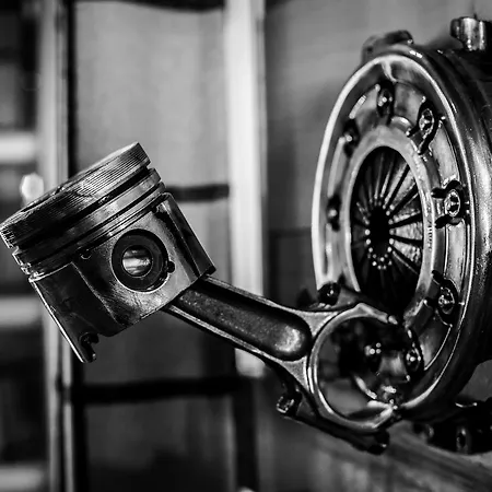 Chamois Les Deux Alpes